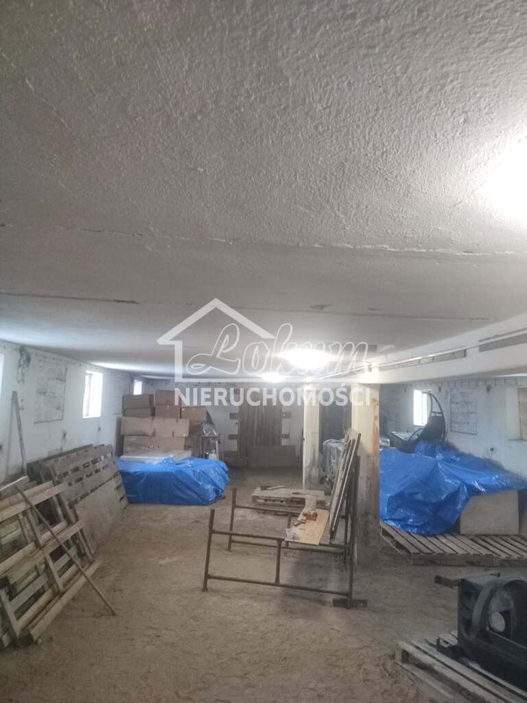 Działka inwestycyjna 5400&nbsp;m², Dzikowo - zdjęcie 6