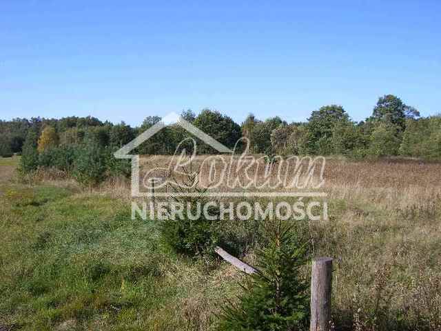 Działka rolna 998,58 m², Pobierowo - zdjęcie 5