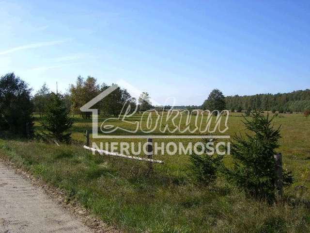 Działka rolna 998,58 m², Pobierowo - zdjęcie 2