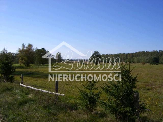 Działka rolna 998,58 m², Pobierowo - zdjęcie 3