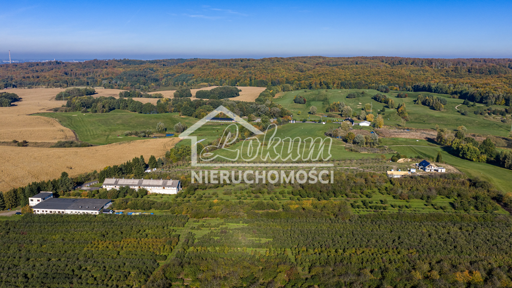 Lokal biurowy na sprzedaż, 160&nbsp;m², Binowo - zdjęcie 8