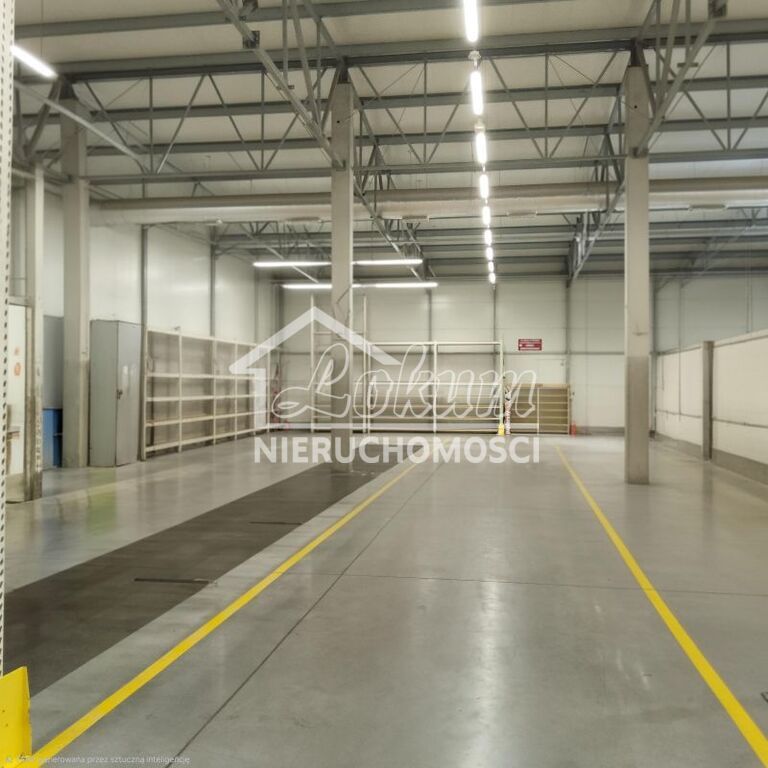 Lokal usługowy do wynajęcia, 2257 m², Szczecin - zdjęcie 3