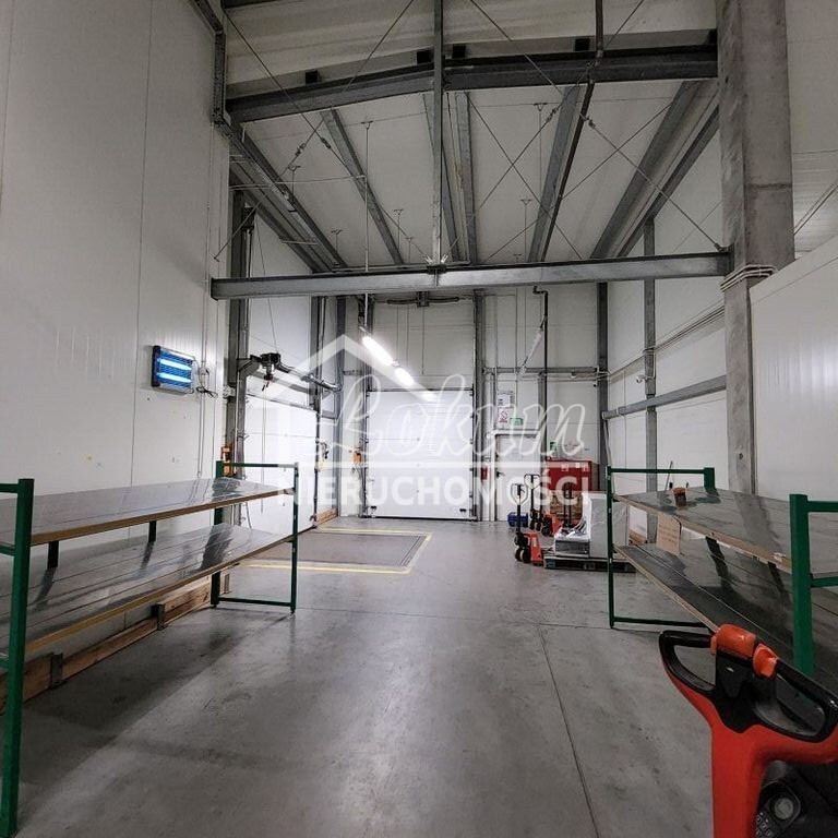 Lokal usługowy do wynajęcia, 2257 m², Szczecin - zdjęcie 5