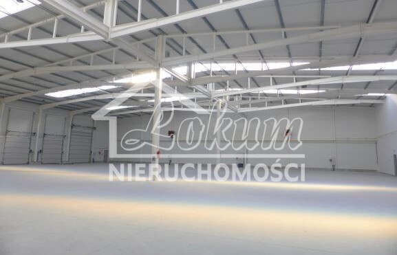 Lokal usługowy do wynajęcia, 2257&nbsp;m², Szczecin - zdjęcie 1
