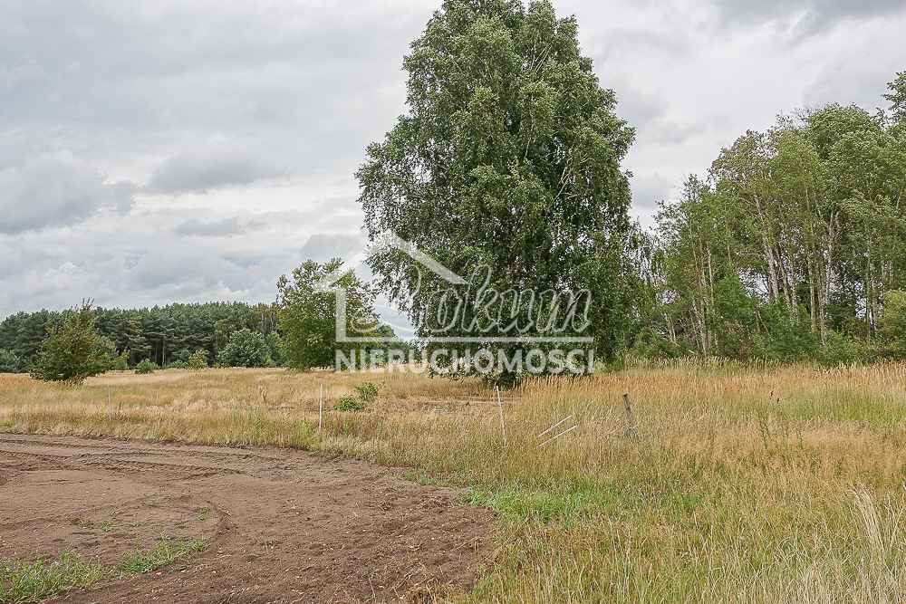 Działka rolna 1619&nbsp;m², Lubczyna, Kasztanowa - zdjęcie 16