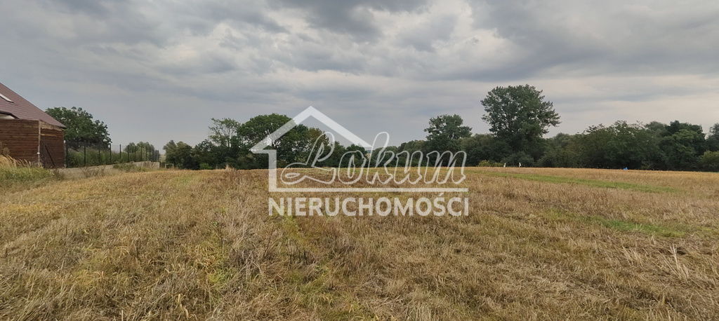 Działka rolna 2438 m², Barnisław - zdjęcie 1