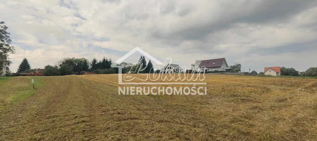 Działka rolna 2438 m², Barnisław - zdjęcie 4