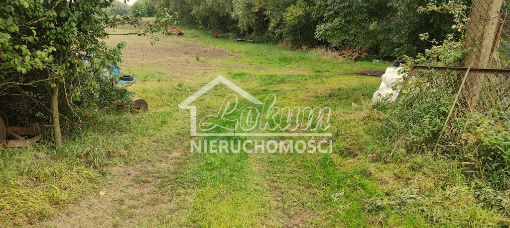 Działka rolna 2438&nbsp;m², Barnisław - zdjęcie 5