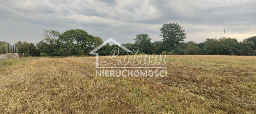 Działka rolna 2438 m², Barnisław - zdjęcie 2