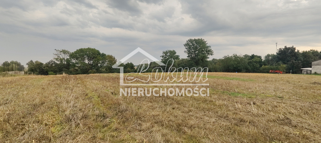 Działka rolna 2438 m², Barnisław - zdjęcie 3