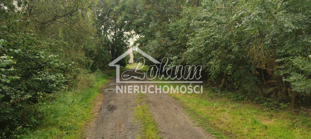 Działka rolna 2438 m², Barnisław - zdjęcie 6