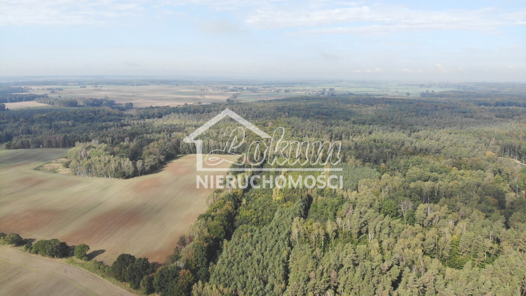 Działka gospodarstwo 6200 m², Rów - zdjęcie 1