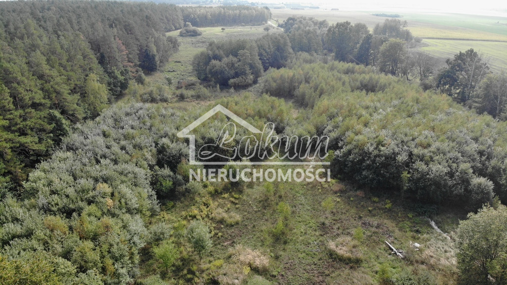 Działka gospodarstwo 6200 m², Rów - zdjęcie 3