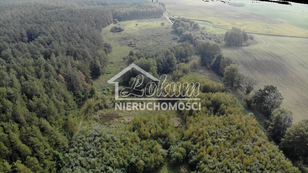 Działka gospodarstwo 6200 m², Rów - zdjęcie 2