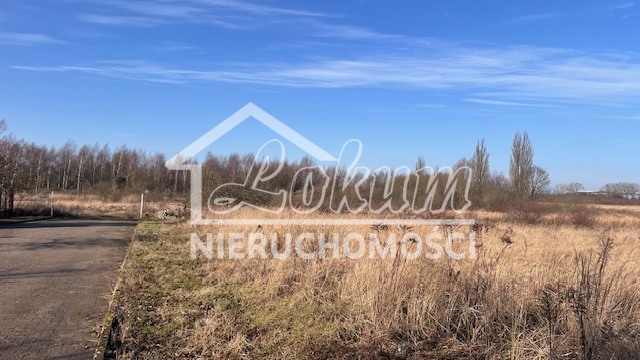 Działka budowlana 1110&nbsp;m², Mierzyn - zdjęcie 3