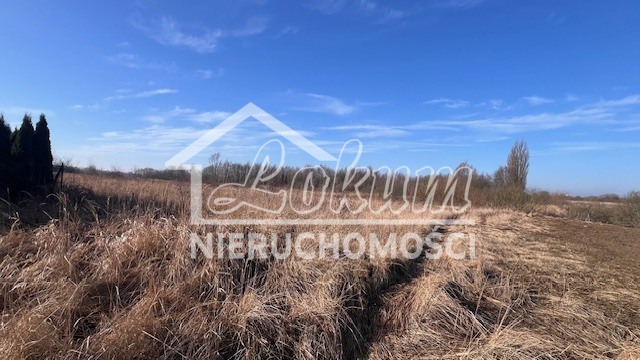 Działka budowlana 1110&nbsp;m², Mierzyn - zdjęcie 4