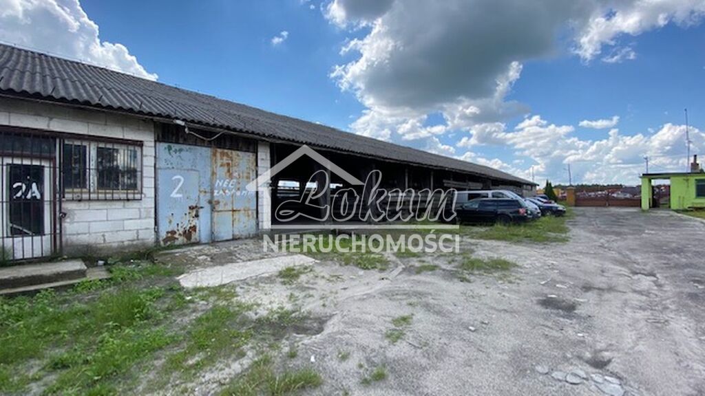 Działka inwestycyjna 9804 m², Berdyszcze - zdjęcie 3