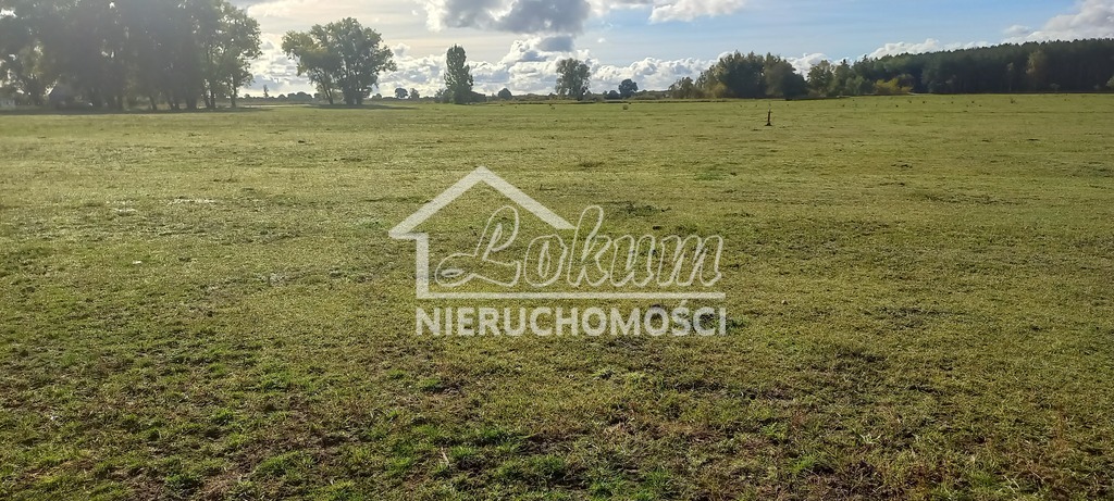 Działka rolna 1947&nbsp;m², Borzysławiec - zdjęcie 2