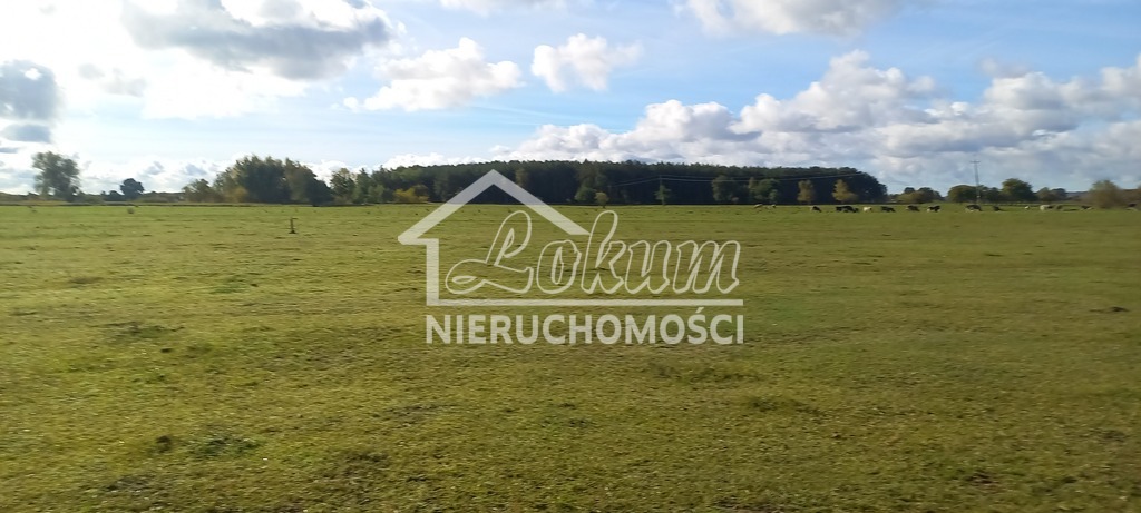 Działka rolna 1947&nbsp;m², Borzysławiec - zdjęcie 1