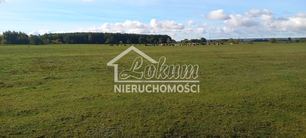 Działka rolna 1947&nbsp;m², Borzysławiec - zdjęcie 4