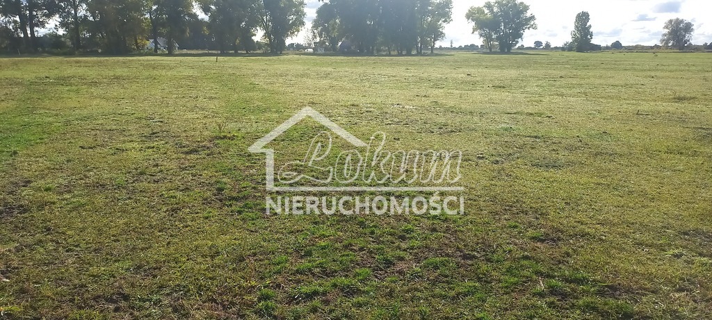 Działka rolna 1947&nbsp;m², Borzysławiec - zdjęcie 8