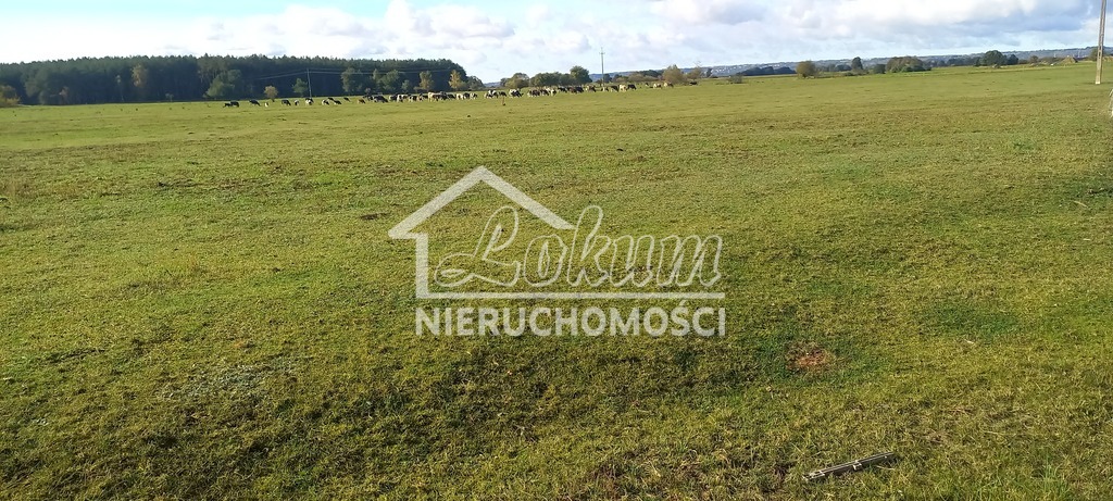 Działka rolna 1947&nbsp;m², Borzysławiec - zdjęcie 3