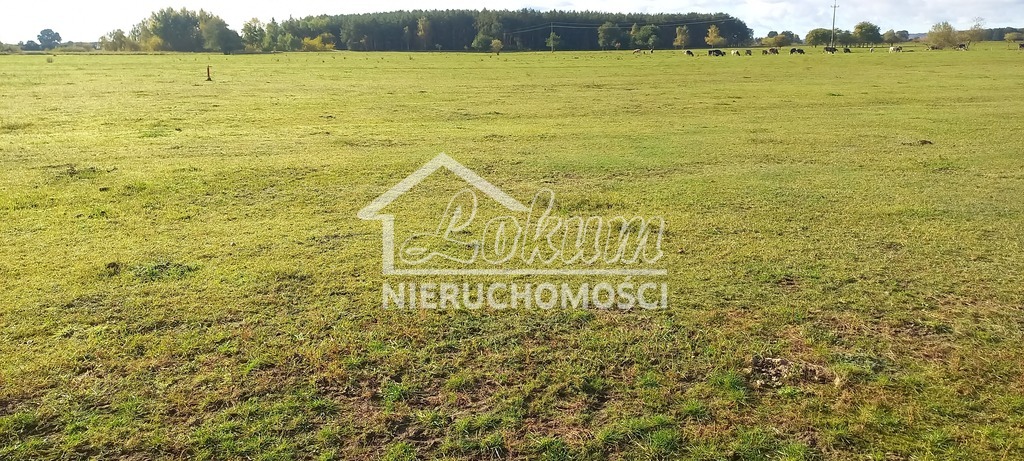 Działka rolna 1947&nbsp;m², Borzysławiec - zdjęcie 2