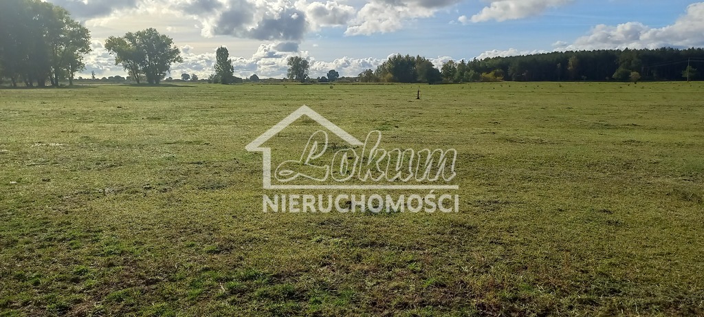 Działka rolna 1947&nbsp;m², Borzysławiec - zdjęcie 1