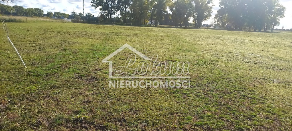 Działka rolna 1947&nbsp;m², Borzysławiec - zdjęcie 9