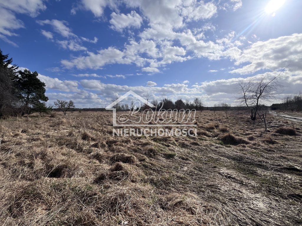 Działka budowlana 1280&nbsp;m², Łaniewo - zdjęcie 2