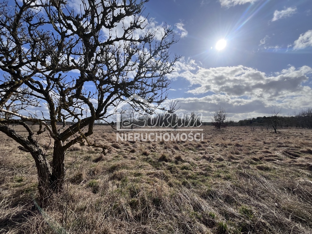 Działka budowlana 1280&nbsp;m², Łaniewo - zdjęcie 1