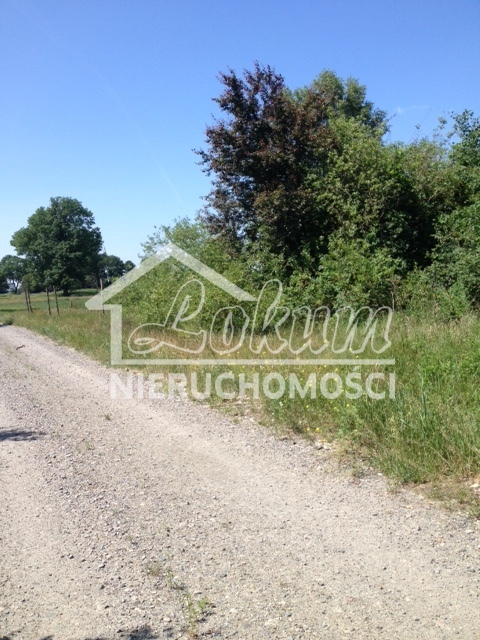 Działka rekreacyjna 1548&nbsp;m², Lubczyna, Kasztanowa - zdjęcie 5