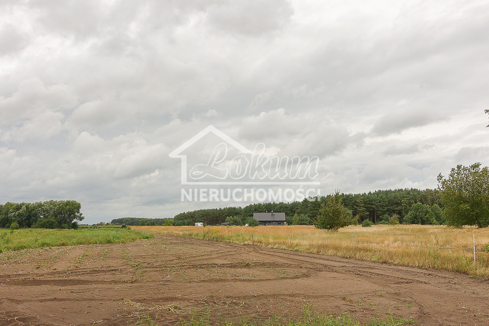 Działka rolna 1548&nbsp;m², Lubczyna, Kasztanowa - zdjęcie 17