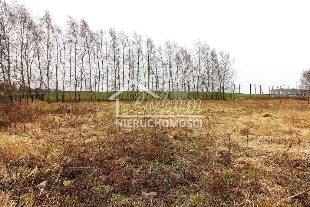 Działka budowlana 744&nbsp;m², Lędzin, Pogodna - zdjęcie 2