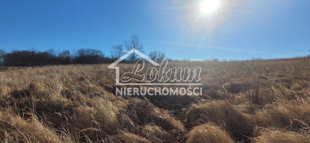 Działka budowlana 802&nbsp;m², Szczecin, Stołczyn, Orna - zdjęcie 2