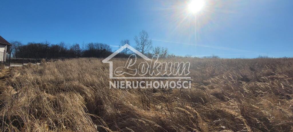 Działka budowlana 802&nbsp;m², Szczecin, Stołczyn, Orna - zdjęcie 4