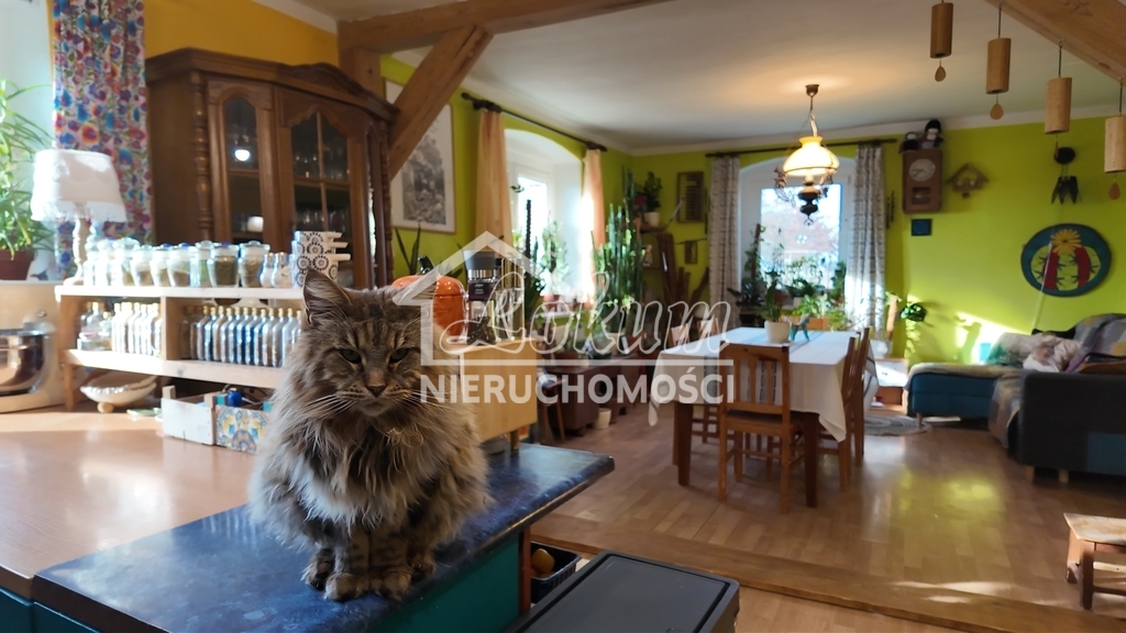 Dom 300 m², Ukiernica - zdjęcie 2