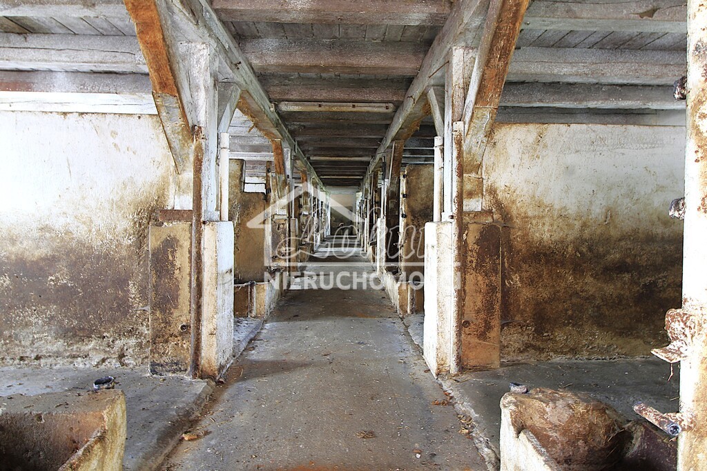 Magazyn na sprzedaż, 4261&nbsp;m², Strzyżno - zdjęcie 8