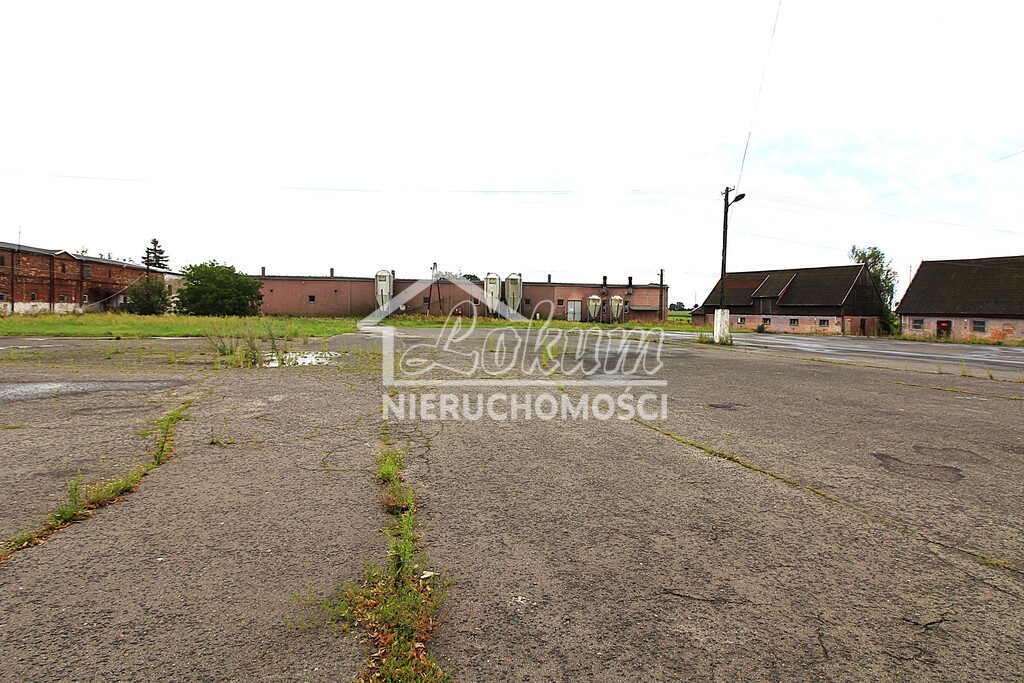Magazyn na sprzedaż, 4261&nbsp;m², Strzyżno - zdjęcie 5