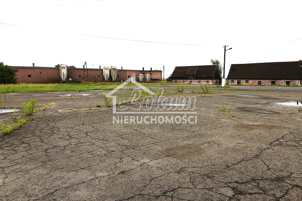 Magazyn na sprzedaż, 4261&nbsp;m², Strzyżno - zdjęcie 3