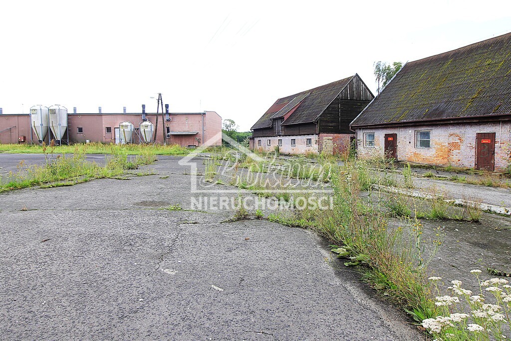 Magazyn na sprzedaż, 4261&nbsp;m², Strzyżno - zdjęcie 7