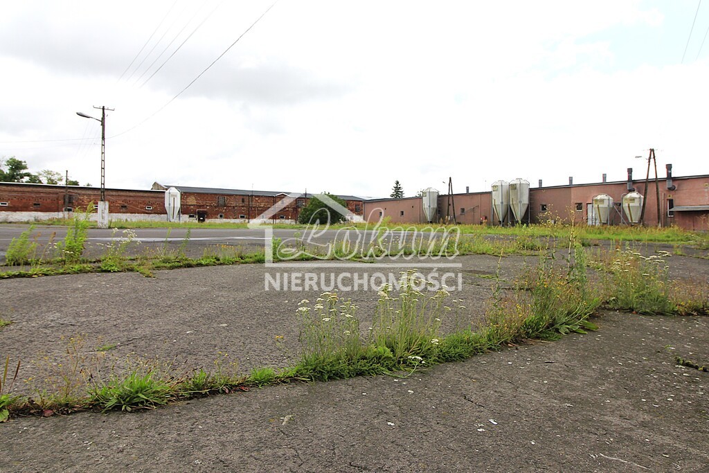 Magazyn na sprzedaż, 4261&nbsp;m², Strzyżno - zdjęcie 6