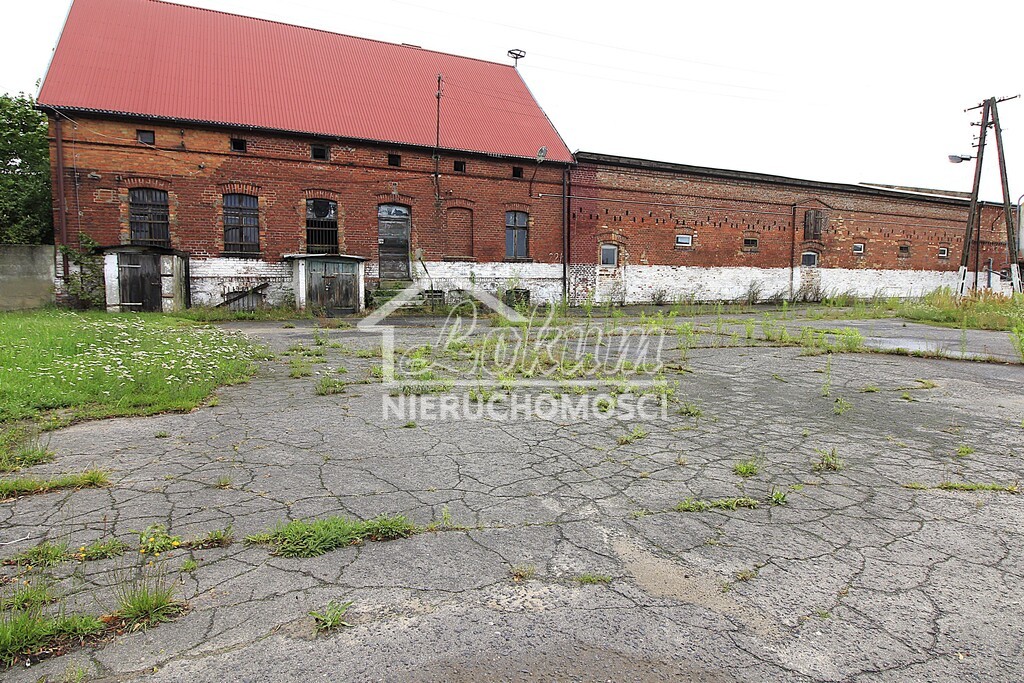 Magazyn na sprzedaż, 4261&nbsp;m², Strzyżno - zdjęcie 4
