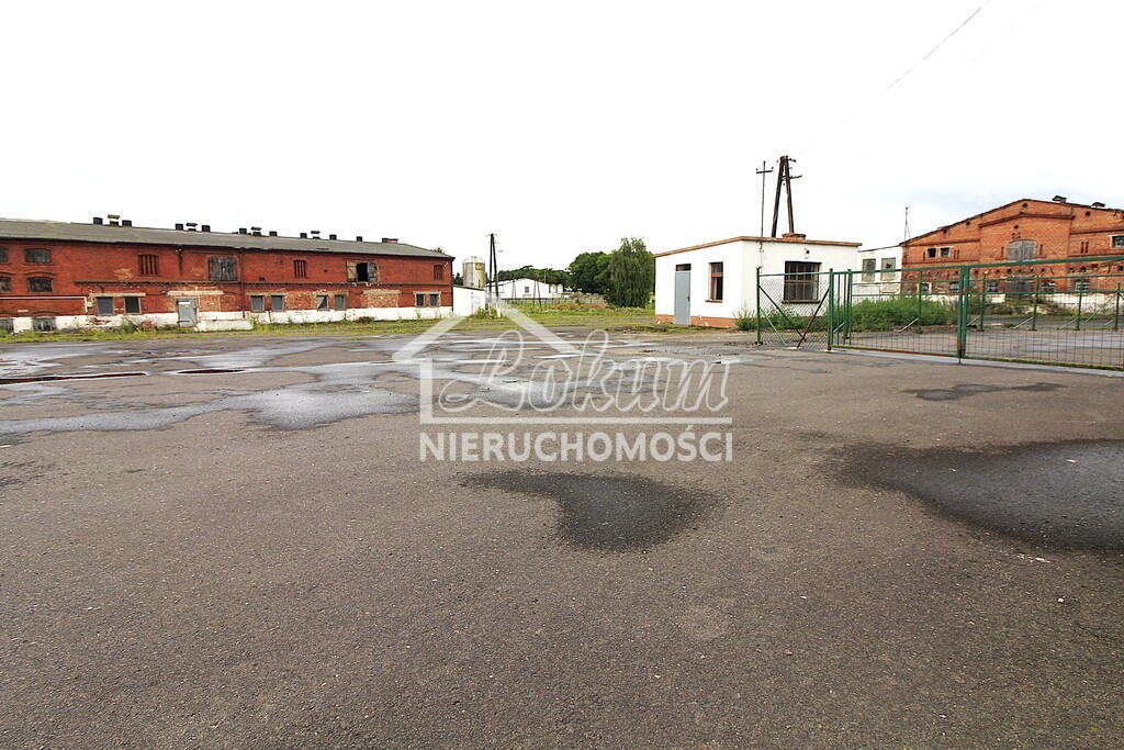 Magazyn na sprzedaż, 4261 m², Strzyżno - zdjęcie 1