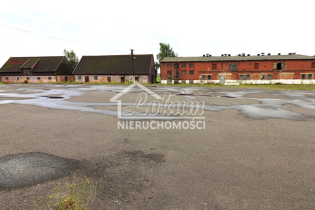 Magazyn na sprzedaż, 4261&nbsp;m², Strzyżno - zdjęcie 2