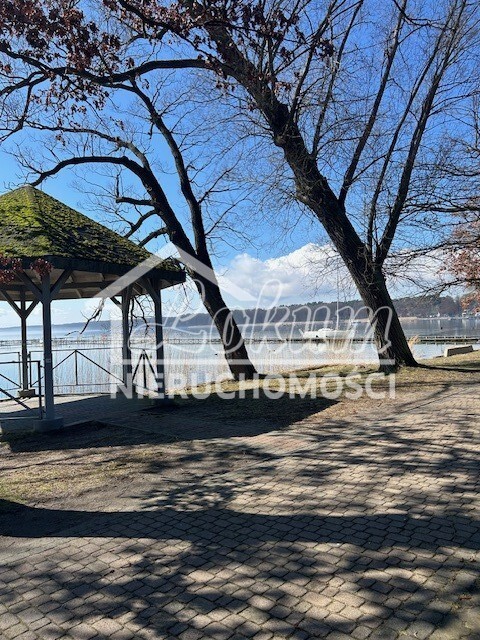 Działka inwestycyjna 7815&nbsp;m², Morzyczyn - zdjęcie 1