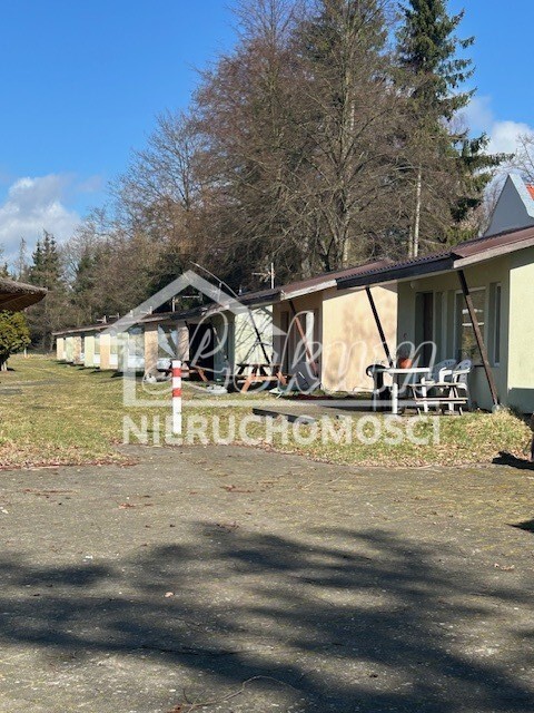 Działka inwestycyjna 7815&nbsp;m², Morzyczyn - zdjęcie 8