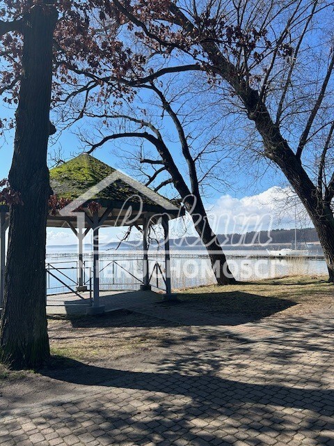 Działka inwestycyjna 7815&nbsp;m², Morzyczyn - zdjęcie 3