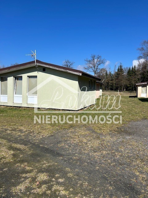 Działka inwestycyjna 7815&nbsp;m², Morzyczyn - zdjęcie 5
