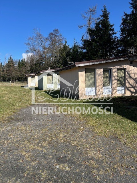 Działka inwestycyjna 7815&nbsp;m², Morzyczyn - zdjęcie 6